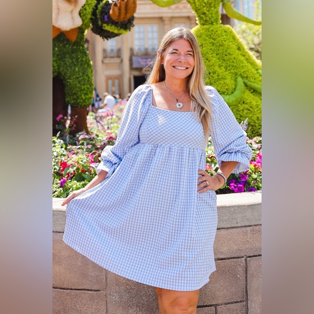 Sugar Fox Garden Picnic Gingham Dress.  size 3X